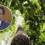 Revista Time inclui Haddad em lista das 100 lideranças climáticas mais influentes do mundo