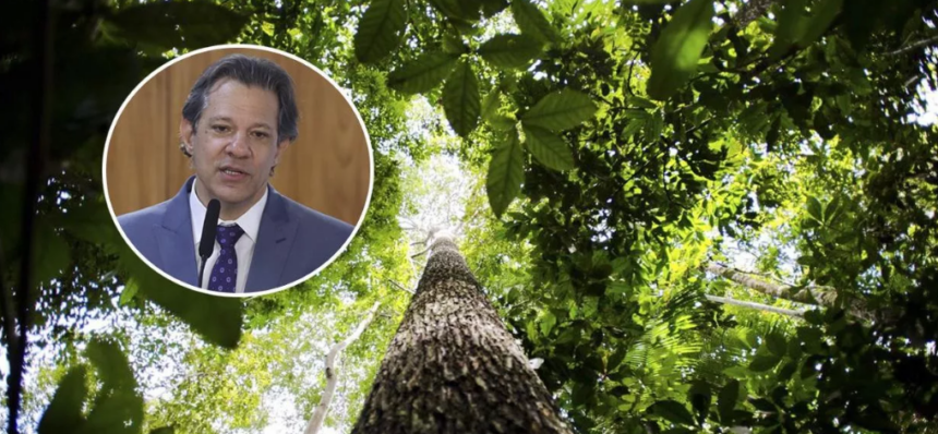 Revista Time inclui Haddad em lista das 100 lideranças climáticas mais influentes do mundo