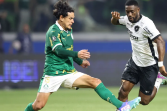 Em jogo histórico, Palmeiras e Botafogo disputam “final” do Brasileirão