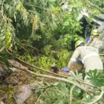 Urgente: Motorista de caminhão morre em grave acidente na GO-080, próximo à Jalles