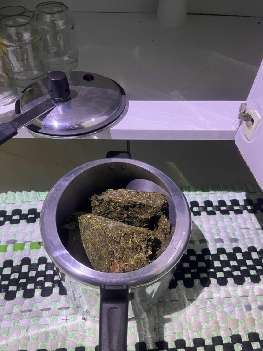 Duplicata: PCGO desmantela grupo criminoso dedicado ao tráfico interestadual de drogas