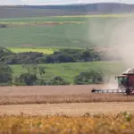 Goiás deve bater recorde na colheita de grãos em 2025