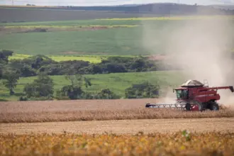 Goiás deve bater recorde na colheita de grãos em 2025