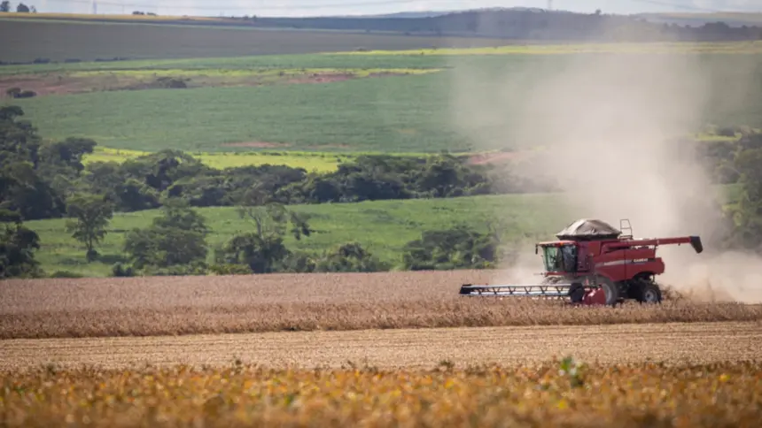 Goiás deve bater recorde na colheita de grãos em 2025