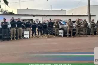 Operação integrada entre forças de segurança apreende droga avaliada em R$ 1 milhão