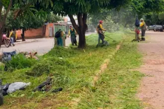Prefeitura de Goianésia inicia mutirão de limpeza para atender demandas acumuladas