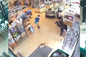 Homem finge convulsão para roubar cães em pet shop nos EUA.