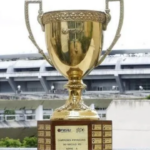 Grandes Paulistas Superam Cariocas em Número de Torcedores nos Estaduais