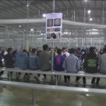 Mais de 11 Mil Brasileiros Foram Deportados dos EUA nos Últimos Seis Anos