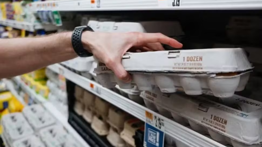 Por que o Preço dos Ovos nos EUA Disparou e Como Isso Afeta o Consumidor