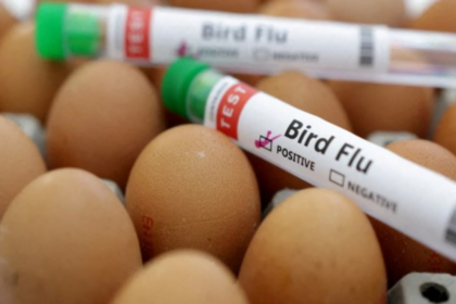 Preço do ovo dispara nos EUA e vira alvo de ladrões