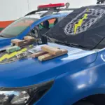 Operação policial no oeste de Goianésia resulta na prisão de três traficantes e apreensão de drogas