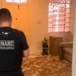 PCGO desmantela rede de distribuição de maconha gourmet e bloqueia R$ 1,5 milhão de investigados