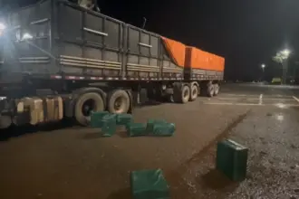 Polícia apreende 400kg de cocaína na BR-153 escondidos em carga de milho de pipoca