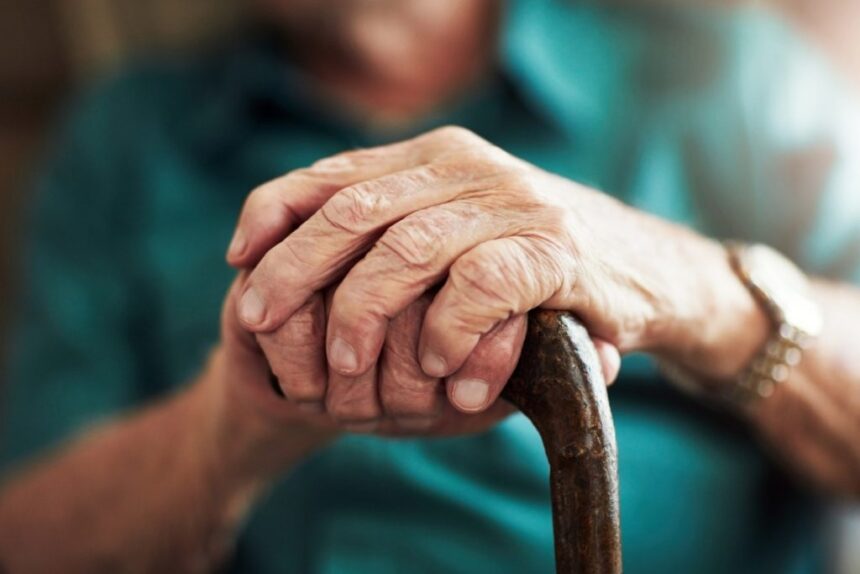 Harmonização de Roteiros Objetivos de Inspeção fortalece fiscalização sanitária em Goiás