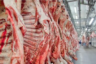 Goiânia tem a maior queda no preço da cesta básica do Brasil, aponta Dieese