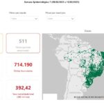 Covid-19: novos casos no início de 2025 superam em mais de 50% as últimas semanas de 2024