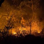 Fapeg investe R$ 1 milhão na prevenção de incêndios no Cerrado