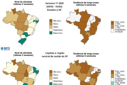 InfoGripe: 12 das 27 unidades federativas apresentam incidência de SRAG em nível de alerta