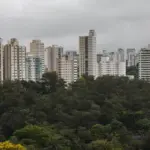 São Paulo lidera ranking de cidades brasileiras com maior intensidade de ligações empresariais