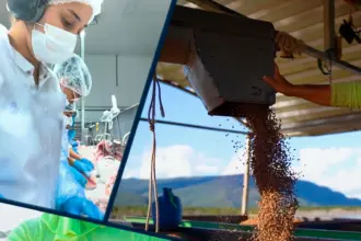 Peixe Bom Pescados: Crescimento, inovação e gestão humanizada