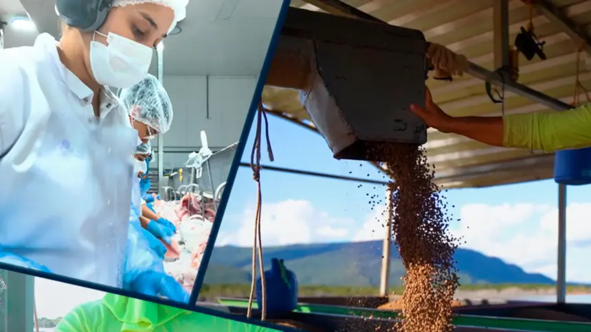 Peixe Bom Pescados: Crescimento, inovação e gestão humanizada