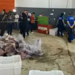 Polícia fecha matadouro clandestino de cavalos e apreende 700kg de carne imprópria para consumo