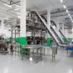 Retorno sobre investimento na automatização de processos com empacotadora automática