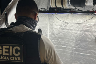 Polícia Civil apreende estufa de maconha em Anápolis