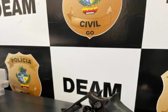 Homem é preso, em Rio Verde, por porte ilegal de arma e por divulgar imagens íntimas de sua companheira – Policia Civil do Estado de Goiás