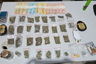 PCGO apreende drogas sintéticas e alucinógenos em Cavalcante – Policia Civil do Estado de Goiás