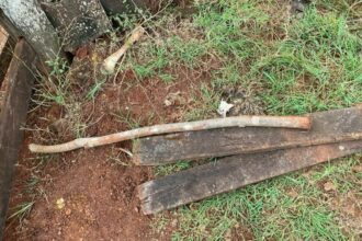 PCGO prende homem que tentou matar produtor rural a pauladas