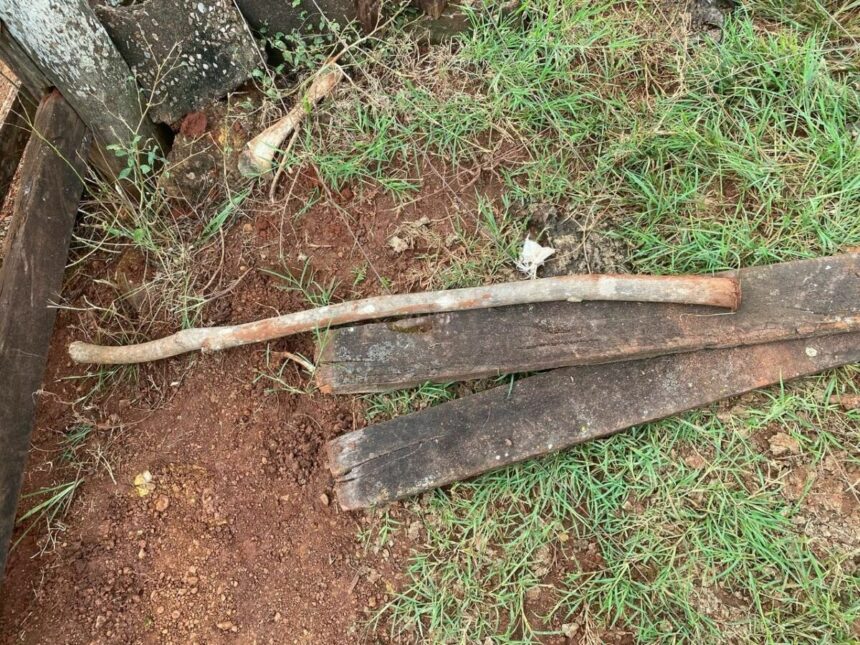 PCGO prende homem que tentou matar produtor rural a pauladas