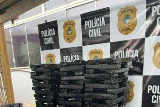 PCGO prende sete pessoas por tráfico interestadual de drogas em Mato Grosso do Sul e Goiás – Policia Civil do Estado de Goiás
