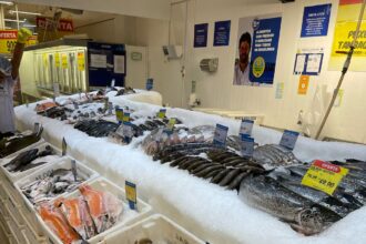 Preços de pescados podem ter variação de até 268%