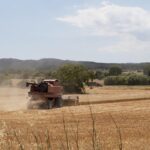 Valor da Terra Nua (VTN): prazo para envio termina nesta quarta (30)