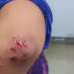 Homem usa facão para ameaçar companheira e acaba preso no leste de Goianésia