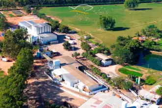 Peixe Bom Pescados bate recorde histórico na Quaresma com mais de 1.900 toneladas movimentadas