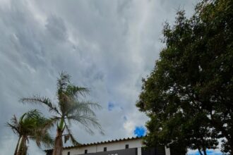 Homem é preso por furto mediante fraude em agências bancárias de SAD – Policia Civil do Estado de Goiás