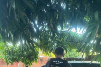 Operação Insolentia cumpre prisões e buscas contra investigados por homicídios tentado e consumado ocorridos em Planaltina