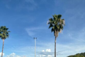 Polícia prende dupla investigada por roubo em propriedade rural de Abadiânia