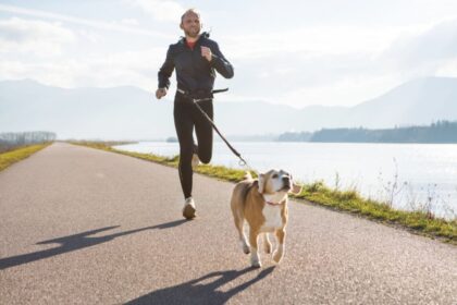 7 atividades físicas para praticar com o cachorro 