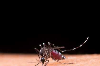 Dengue: atenção aos primeiros sinais pode salvar vidas