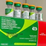 Difteria e Tétano e Coqueluche: Ministério da Saúde recomenda manter a vacinação contra as doenças em dia