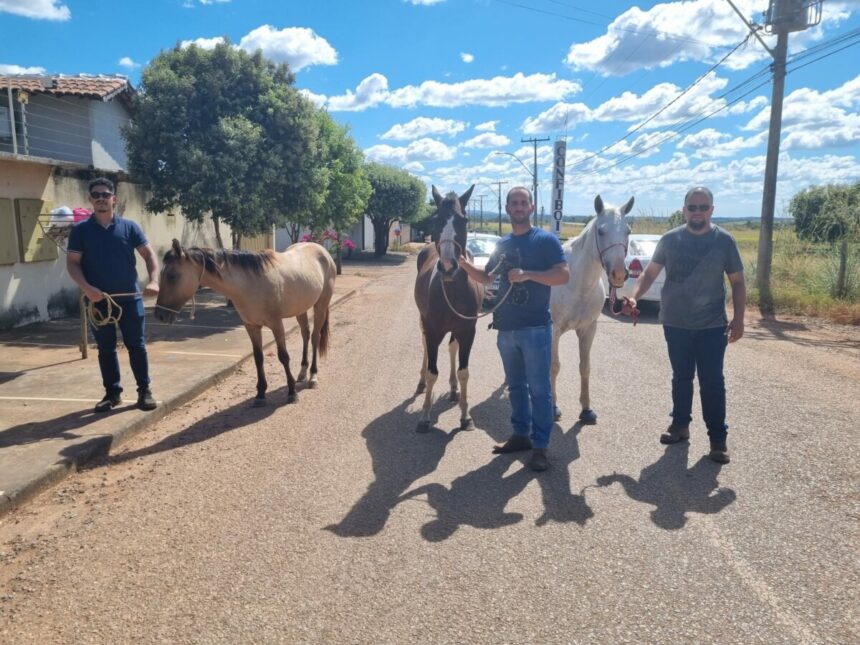 PCGO apreende adolescentes por furtos de equinos em Porangatu e recupera animais – Policia Civil do Estado de Goiás