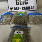 PCGO apreende super maconha e prende homem em flagrante em Catalão – Policia Civil do Estado de Goiás