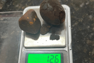 PCGO prende dupla em flagrante em Cachoeira Alta por furtar pedras biliares de frigorífico – Policia Civil do Estado de Goiás