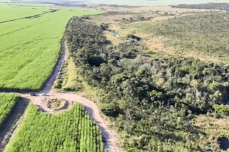 PCGO vistoria áreas de preservação permanente em regeneração em Chapadão do Céu