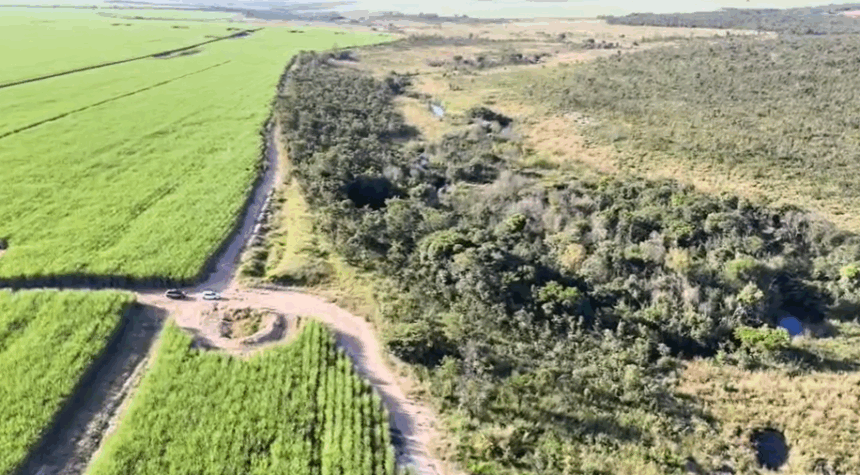 PCGO vistoria áreas de preservação permanente em regeneração em Chapadão do Céu