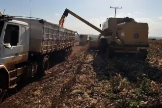 PIB cresce 1,4% puxado pela agropecuária